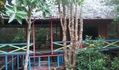 Hutan Bakau Dumai