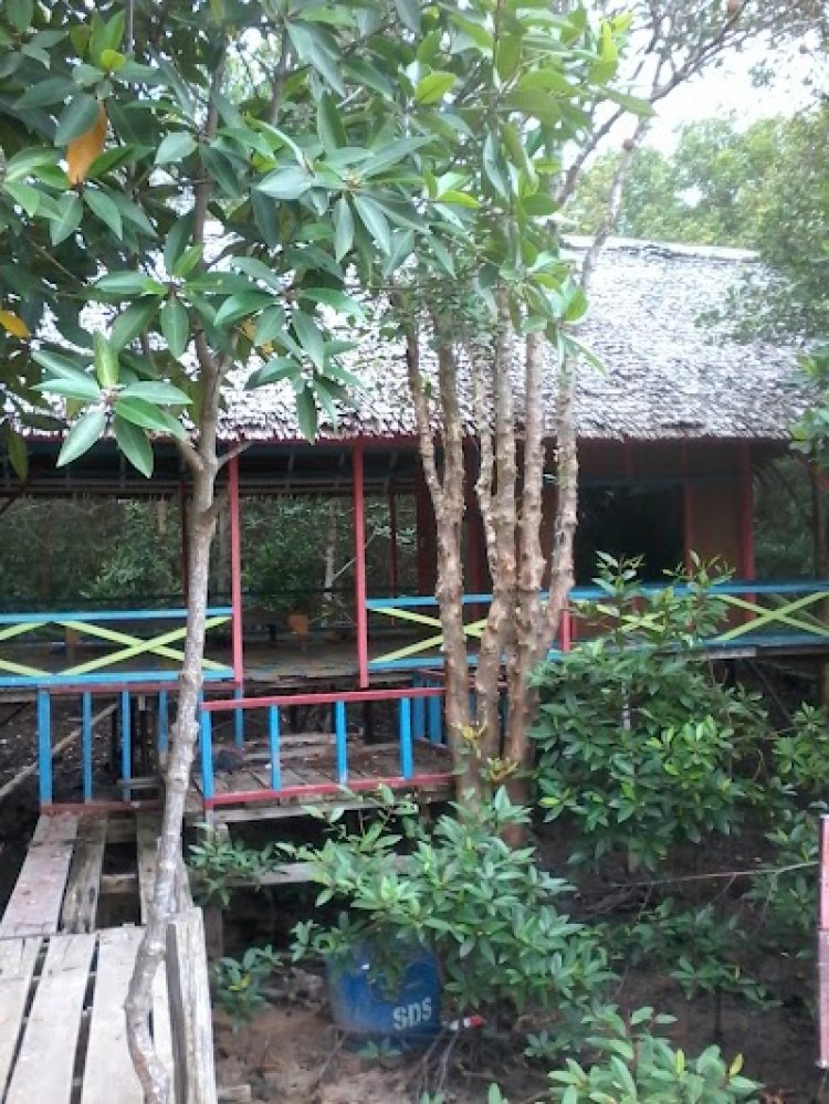 Hutan Bakau Dumai